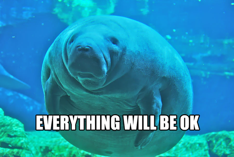 Illustration for article titled WTFossil? Jamaican sea cow edition